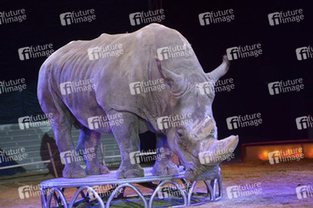 'Evolution' Weltpremiere im Circus Krone, München