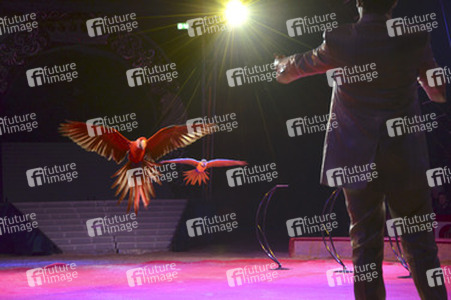 'Evolution' Weltpremiere im Circus Krone, München