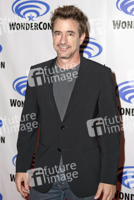 'Insidious: Chapter 3' Präsentation auf der WonderCon 2015, Anaheim