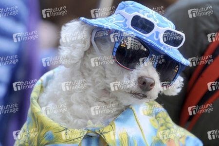 Easter Parade 2015, New York