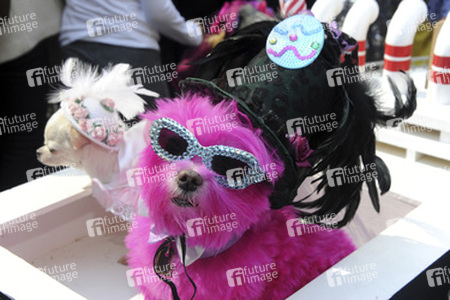 Easter Parade 2015, New York