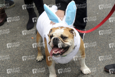 Easter Parade 2015, New York