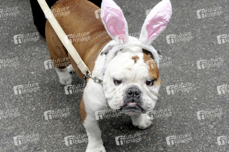Easter Parade 2015, New York