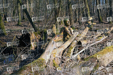 Baum / Tree Body Painting