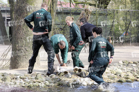 Giraffenunfall im Tierpark Hagenbeck, Hamburg