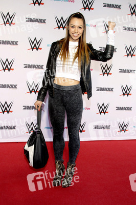 WWE Live Wrestling Event, Hamburg