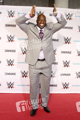 WWE Live Wrestling Event, Hamburg