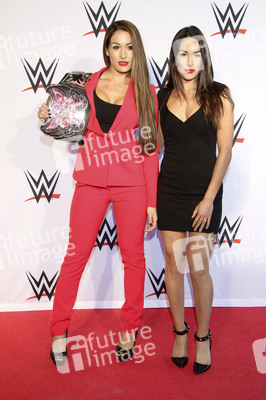 WWE Live Wrestling Event, Hamburg
