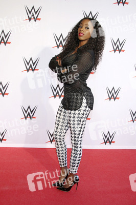 WWE Live Wrestling Event, Hamburg