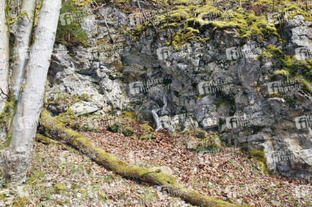Felswand / Rockface