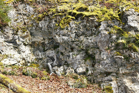 Felswand / Rockface