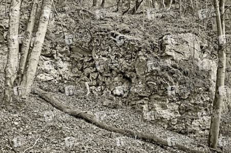 Felswand / Rockface