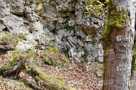 Felswand / Rockface