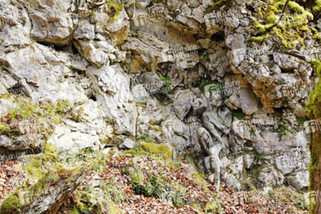 Felswand / Rockface