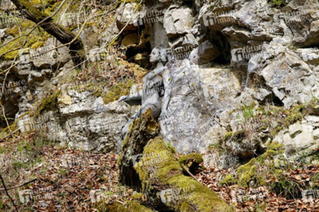 Felswand / Rockface