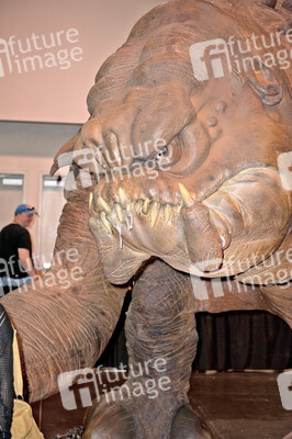 Star Wars Celebration, Anaheim
