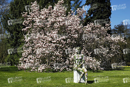 Magnolien / Magnolias Body Painting