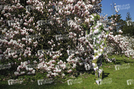 Magnolien / Magnolias Body Painting