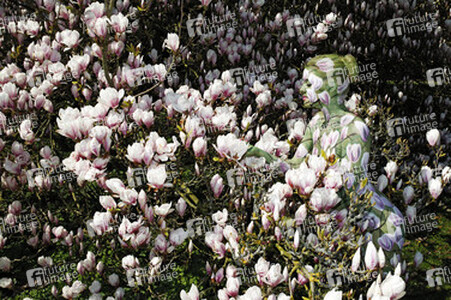 Magnolien / Magnolias Body Painting