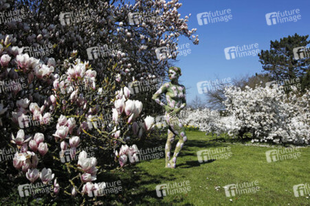 Magnolien / Magnolias Body Painting