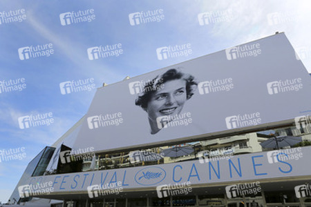 Cannes Film Festival 2015 Feature