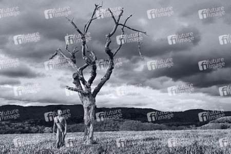 Nature Art: Abgestorbener Baum / Dead Tree Body Painting