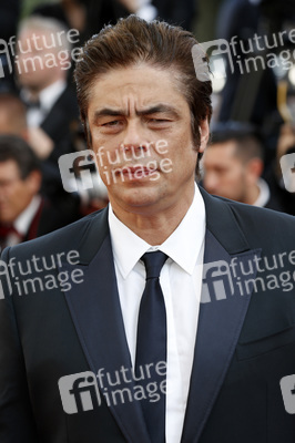 'Carol' Premiere, Cannes Film Festival 2015