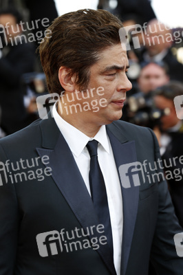 'Carol' Premiere, Cannes Film Festival 2015