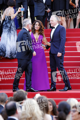 'Carol' Premiere, Cannes Film Festival 2015