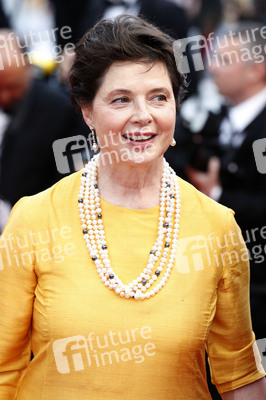 'Sicario' Premiere, Cannes Film Festival 2015