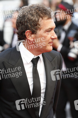 'Sicario' Premiere, Cannes Film Festival 2015