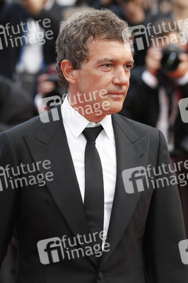 'Sicario' Premiere, Cannes Film Festival 2015