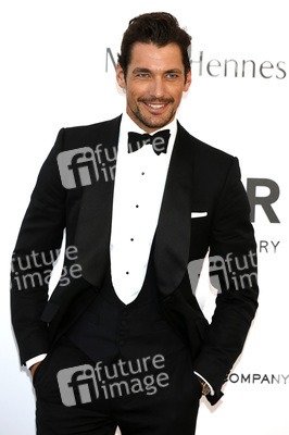 amfAR's Cinema Against Aids Gala 2015 im Rahmen des Cannes Film Festivals