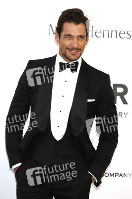 amfAR's Cinema Against Aids Gala 2015 im Rahmen des Cannes Film Festivals