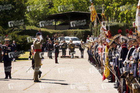 Vereidigung der Königlichen Garde