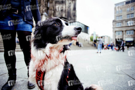 Zombie Walk Cologne 2015 in Köln