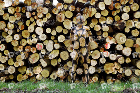 NATURE ART: Holzstoß / Woodpile Body Painting