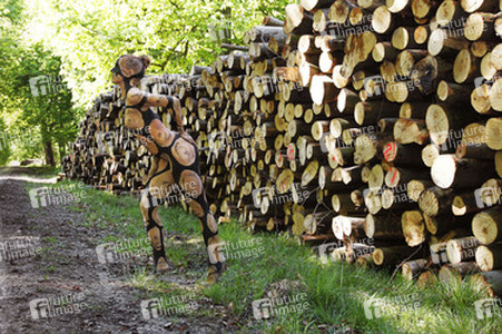 NATURE ART: Holzstoß / Woodpile Body Painting
