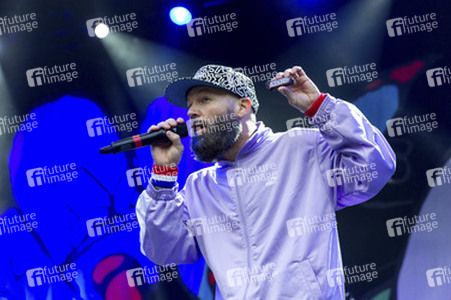 Konzert von Limp Bizkit in Berlin