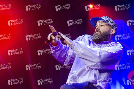 Konzert von Limp Bizkit in Berlin