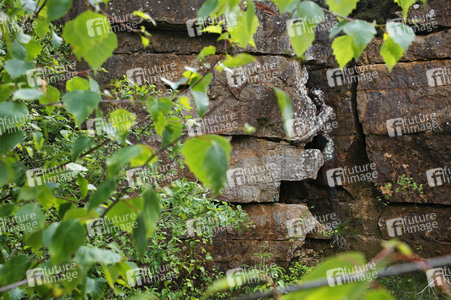 NATURE ART: Steinbruch / Quarry Bodypainting