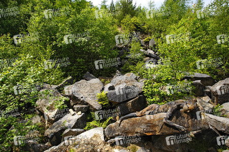 NATURE ART: Steinbruch / Quarry Bodypainting