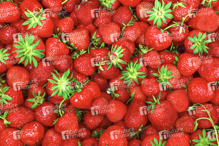 Erdbeeren