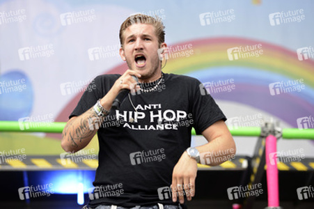 Hurricane Festival 2015 in Scheeßel