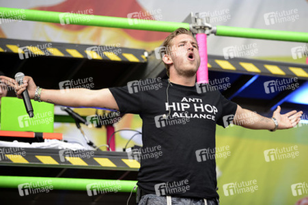 Hurricane Festival 2015 in Scheeßel