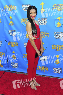 41. Saturn Awards in Burbank