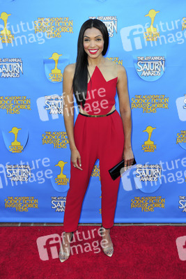 41. Saturn Awards in Burbank