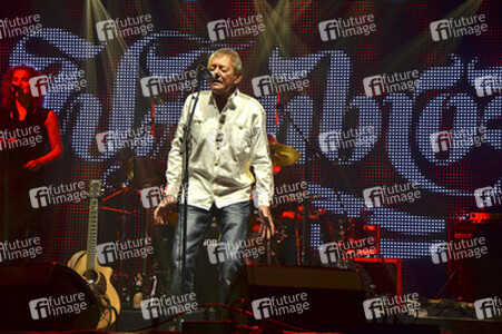 Konzert von Wolfgang Ambros auf dem Tollwood-Festival in München