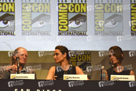 Panel zu 'The Strain' auf der San Diego Comic-Con International 2015