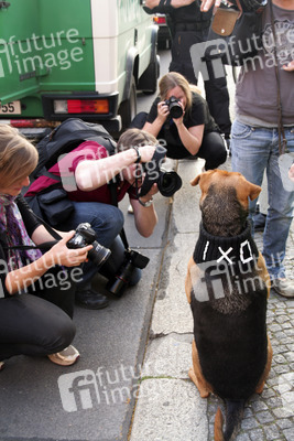 Demonstration 'OXI – Schluss mit Lustig' in Berlin